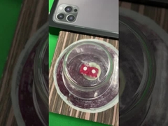 Kundengebundenes Würfel-Betruggerät-elektronisches magnetisches Würfel-System