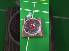 Variable Induktion Würfel Betrugsgerät Magnetische / nichtmagnetische geladene Würfel Set