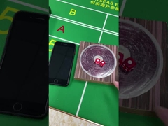 Plastik 12mm / 16mm Würfel Set Glücksspiel Casino Spiel Würfel mit Tier Druck